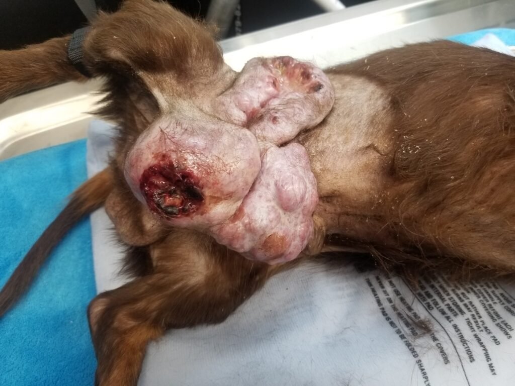 Tumors
