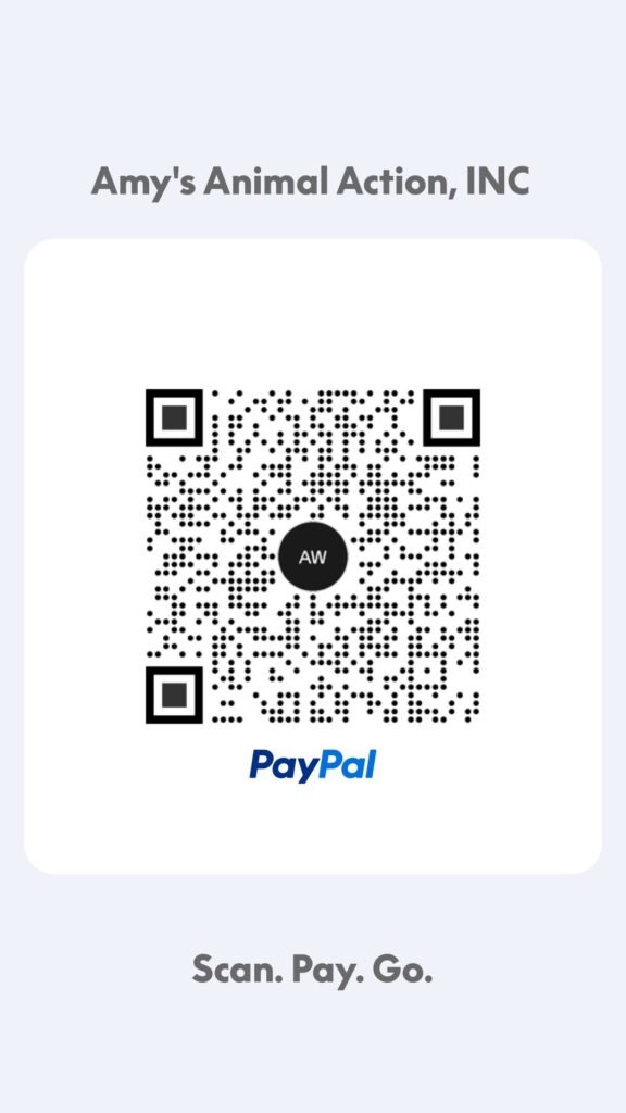 Donate QR Code